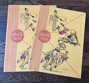 VINTAGE 80s 90s Mead Pee-Chee All Season Portfolio Folders Model 33170 (2 pcs.)